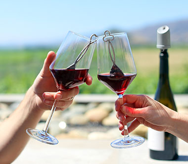 No More Wine Headaches! Wine Wand Sulfite Remover – 4 Pack